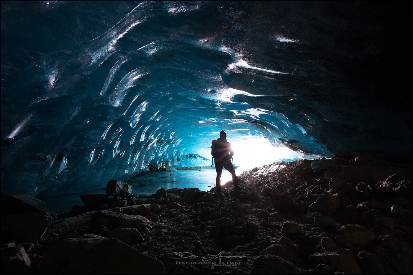 A Journey Through the Lens: Dani LeFrancois’s Evolution from Amateur Enthusiast to Professional Nature Photography Guide