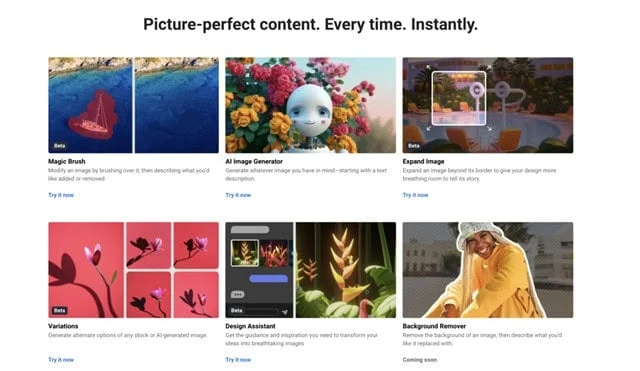 Shutterstock for Content Creators: Monetize, Customize, and Create Faster