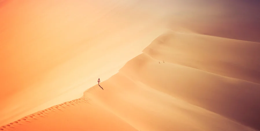 The Big Dune