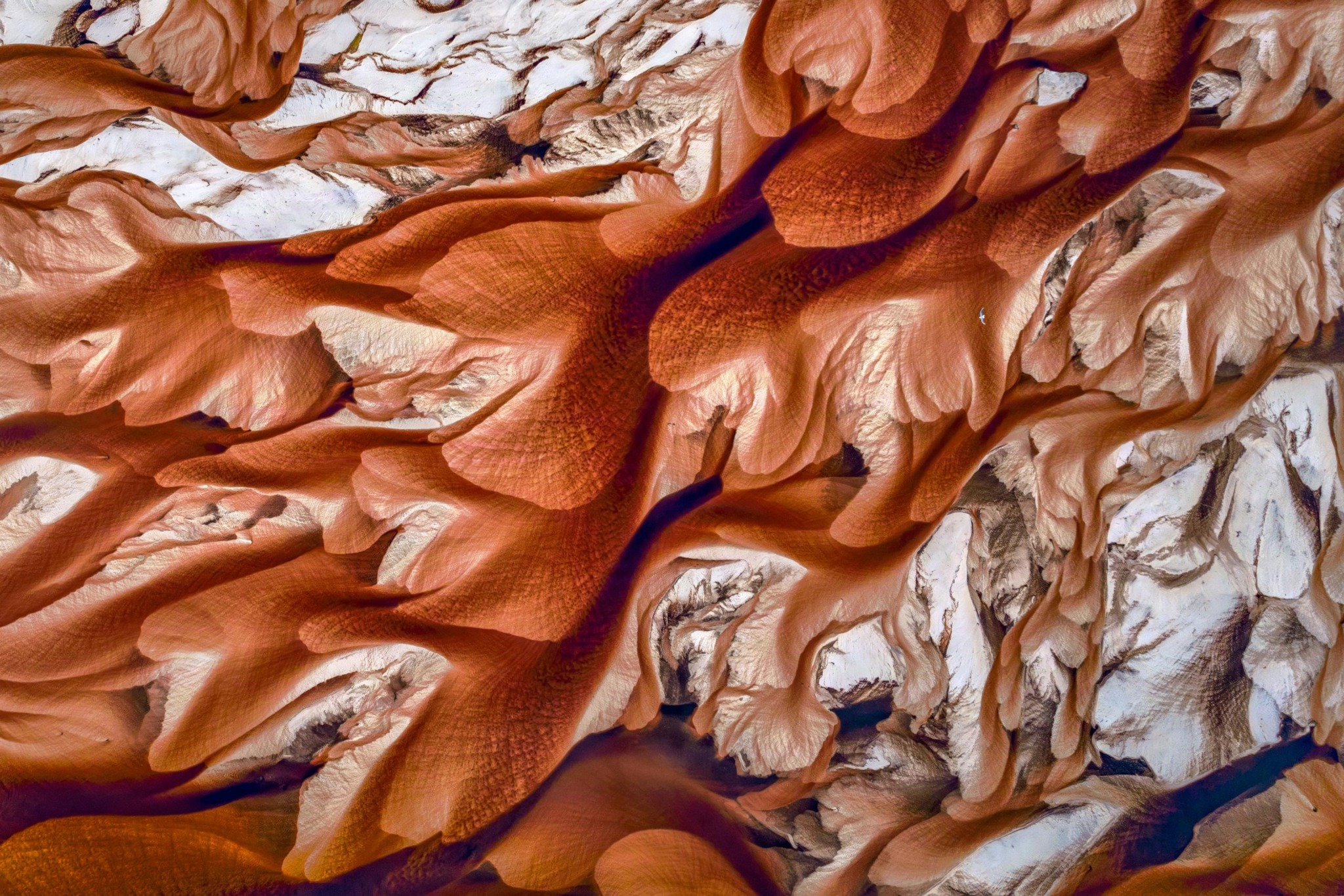 The Unfolding Canvas: Aerial Perspectives of Brazil’s Lençóis Maranhenses National Park