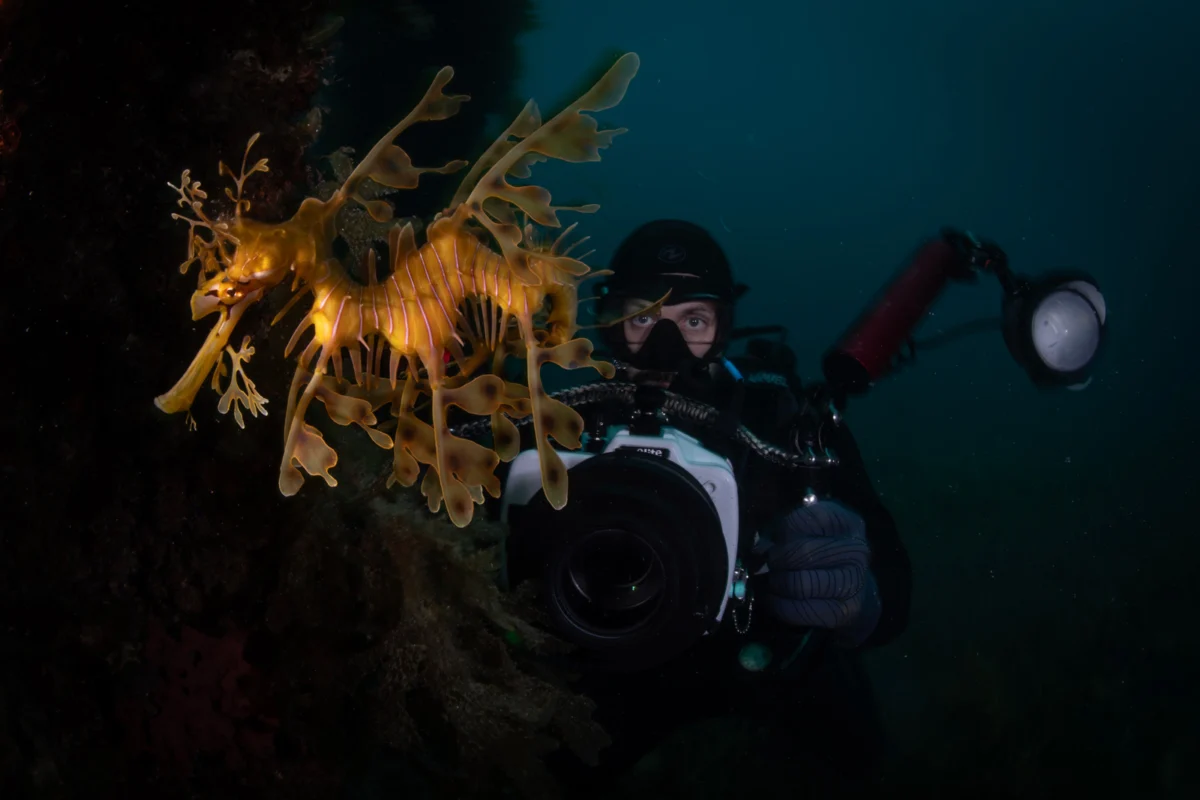 Rowan Dear: From Welsh Farm to Underwater Photography Maestro – A Journey from Amateur to Professional
