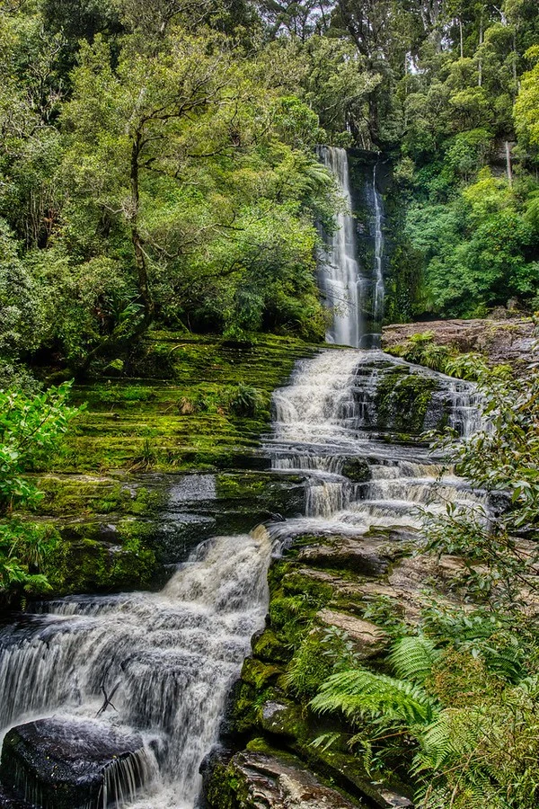The Many Falls: New Zealand’s Pristine Walking Tracks Offer Serene Escapes