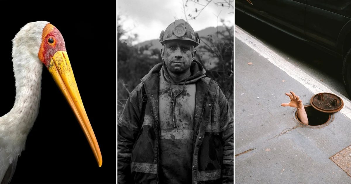 Association of Photographers Unveils Winners of 41st Annual Student Awards, Highlighting Emerging Talent Across UK Photography Programs