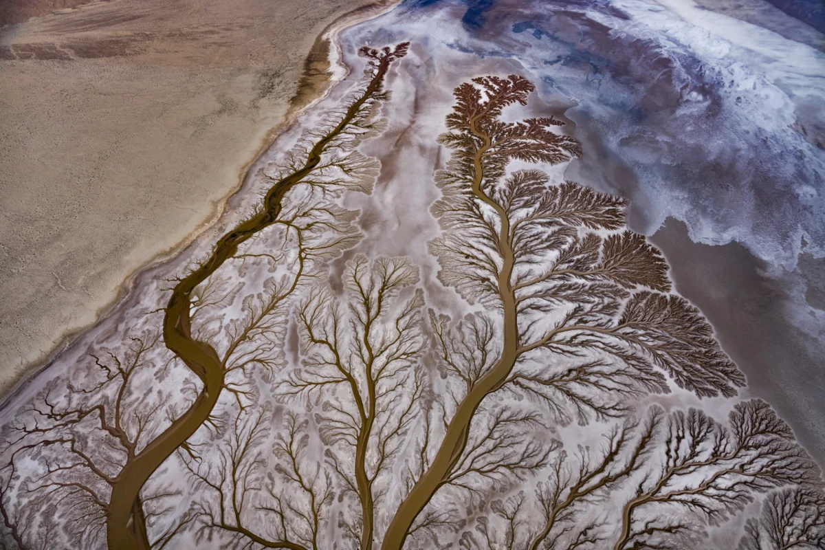 The Colorado River Delta: A Tapestry of Resilience Amidst a Thirsty Landscape