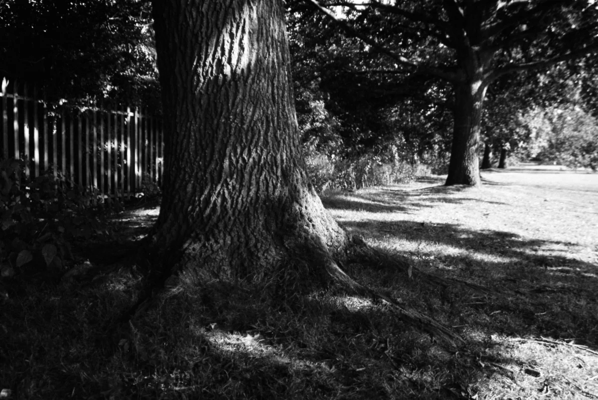 The Politics of Deep Shade and the Socioeconomic Realities of Urban Heat Mitigation in Southern England