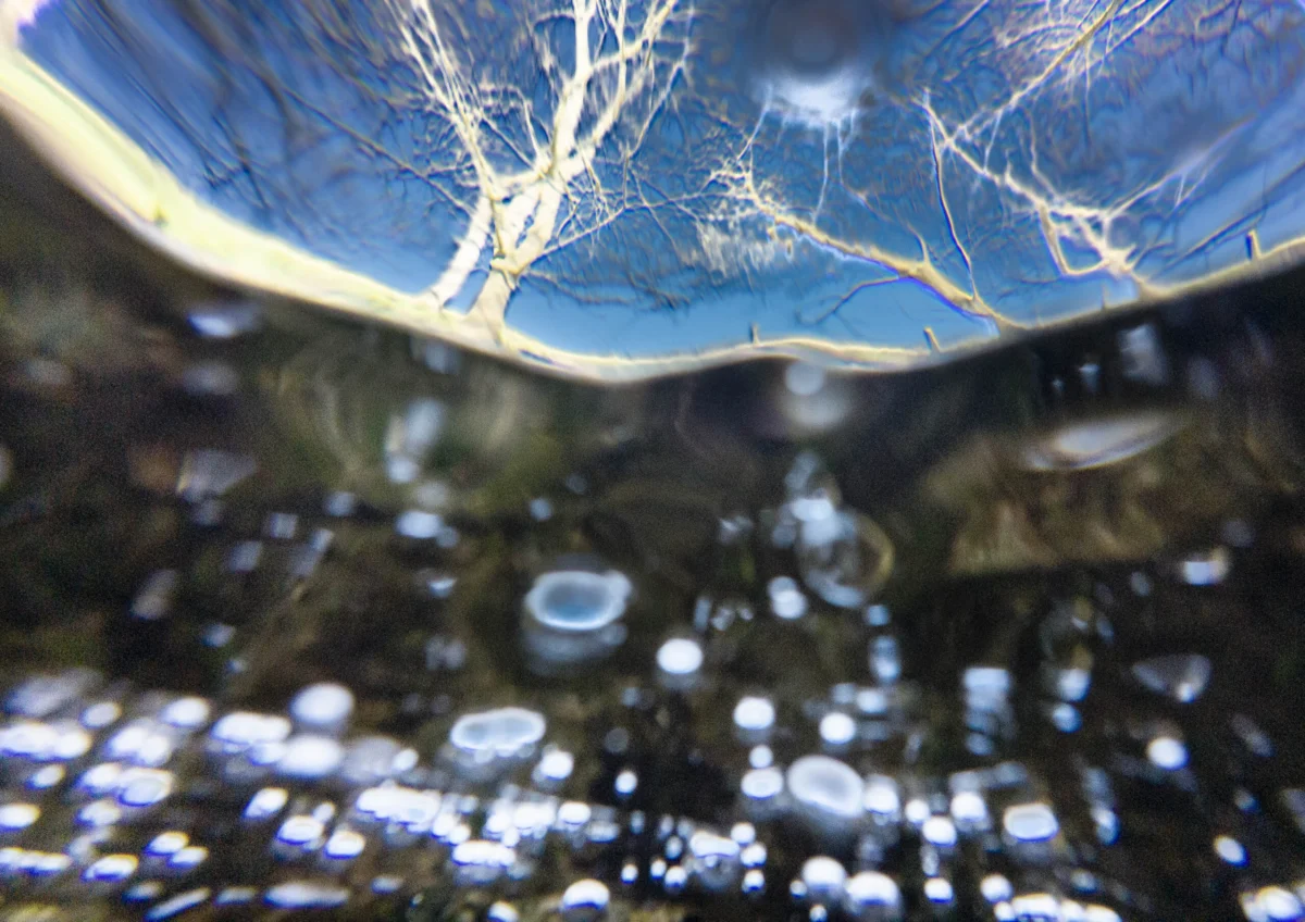 Exploring the Thames Under the Surface An Analysis of Action Camera Integration in Long-Term Documentary Photography