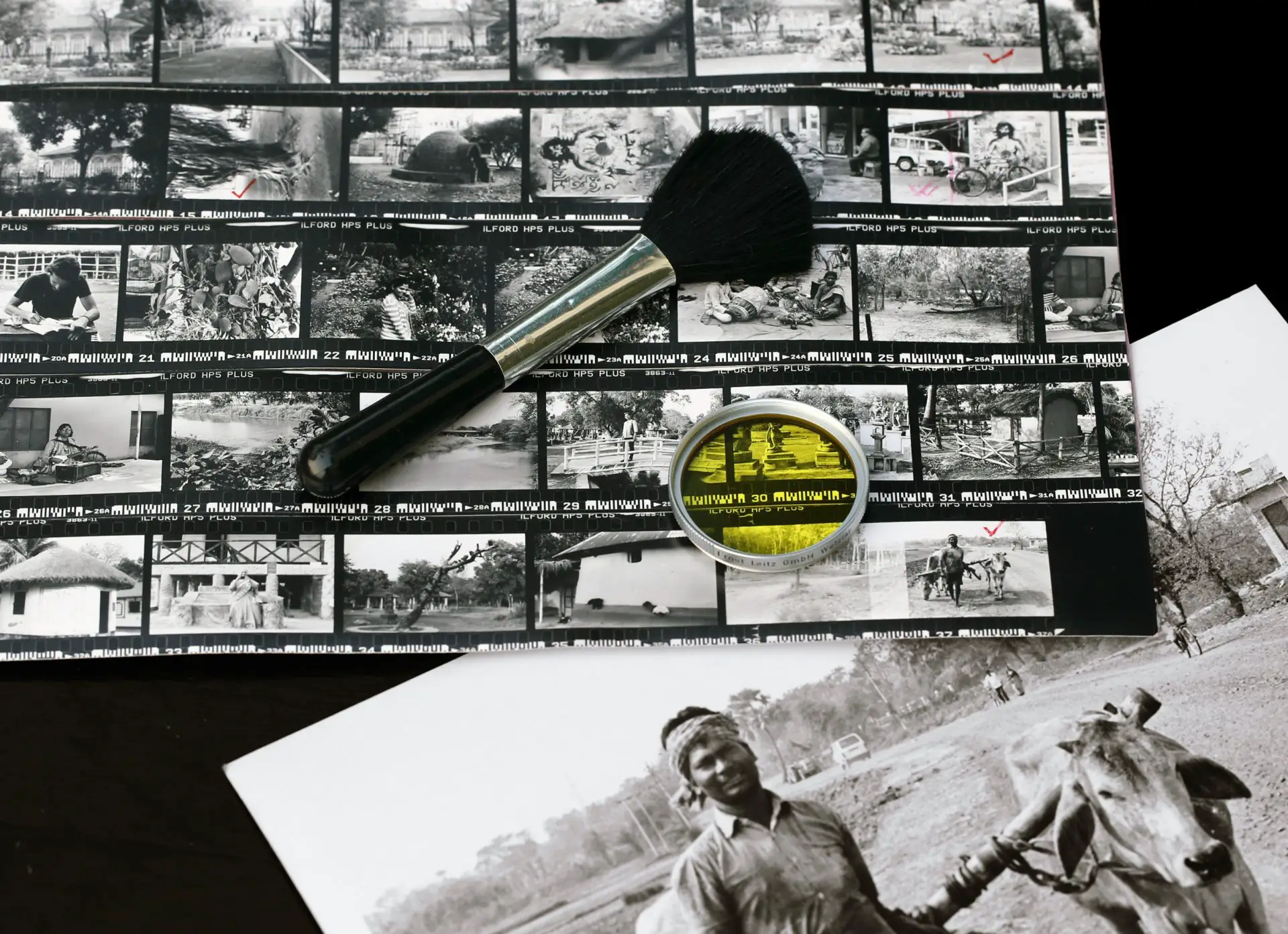 Mastering the Analog Archive: A Comprehensive Guide to Organizing Film Negatives, Scans, and Prints